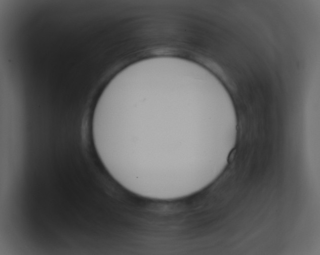 X0000101450297200807071116
