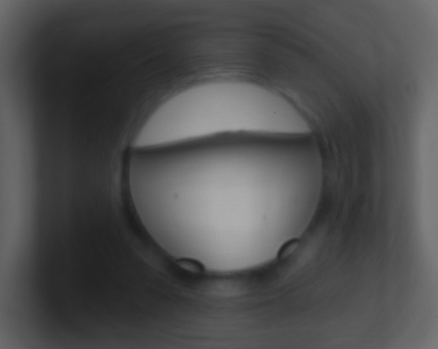 X0000101450303200807071116