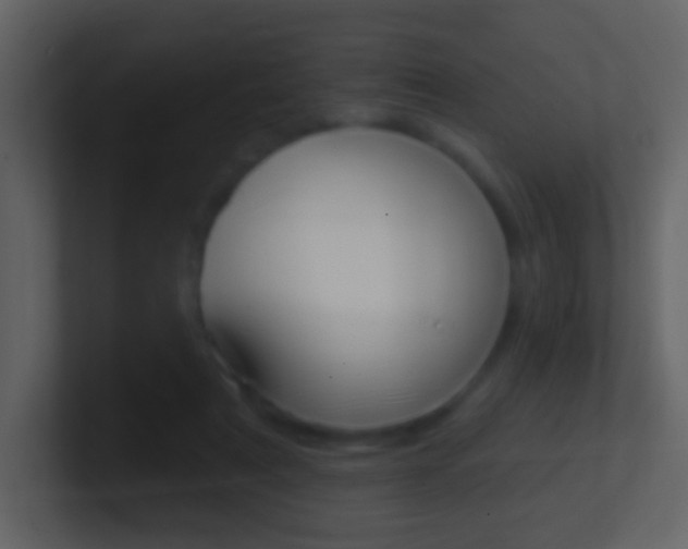 X0000101450307200807071116