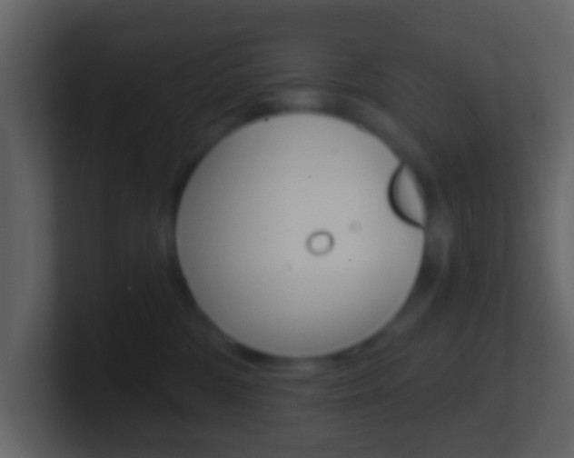 X0000101450330200807071116
