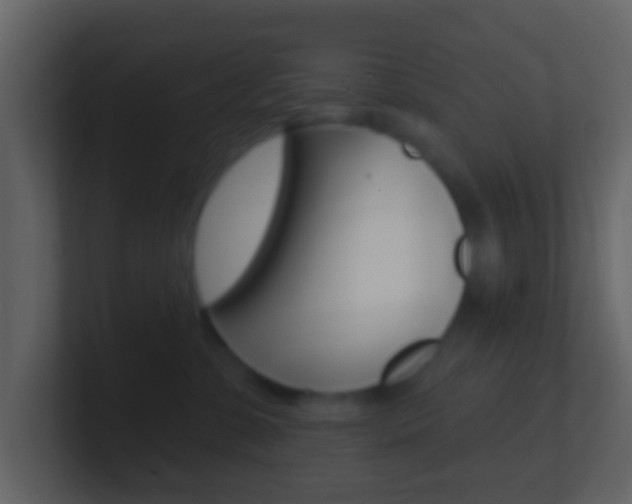 X0000101450331200807071116
