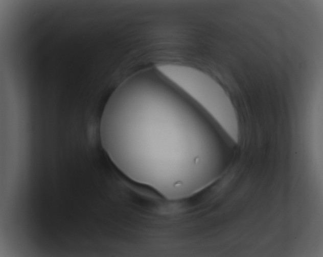 X0000101450332200807071116