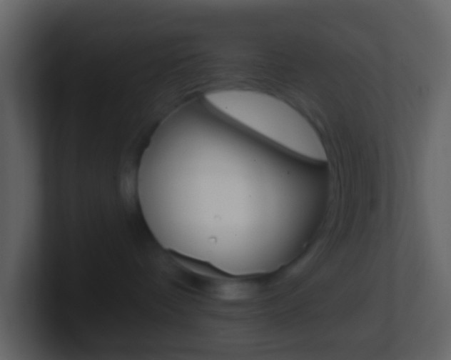X0000101450336200807071116