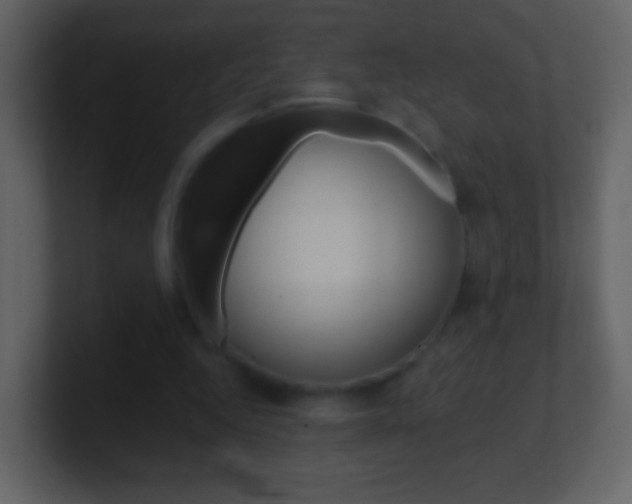 X0000101450344200807071115