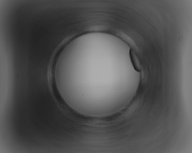 X0000101450348200807071115
