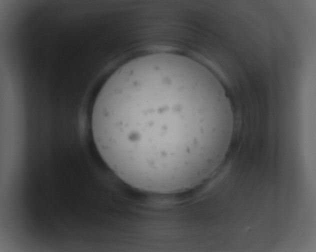 X0000101450351200807071115