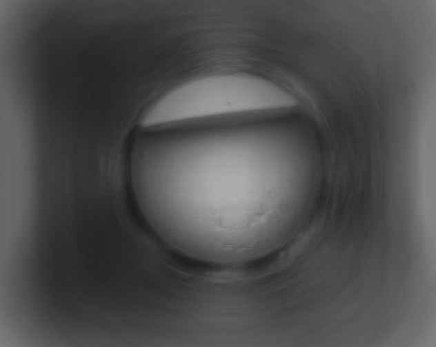 X0000101450362200807071116