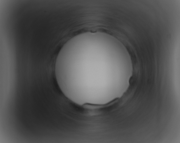 X0000101450372200807071116