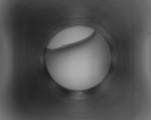 X0000101450374200807071116