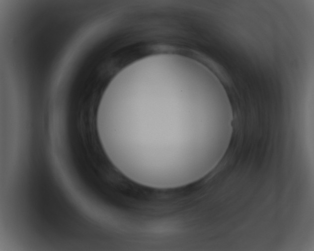 X0000101450381200807071116