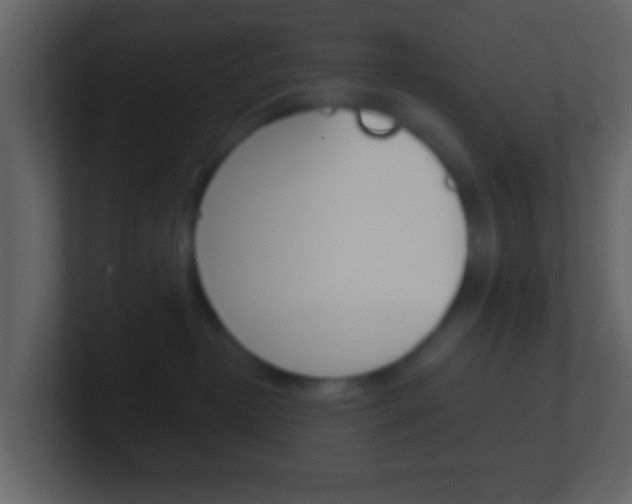 X0000101450382200807071116