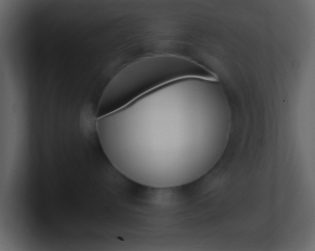 X0000101450384200807071116
