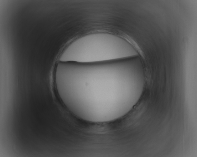 X0000101450386200807071115