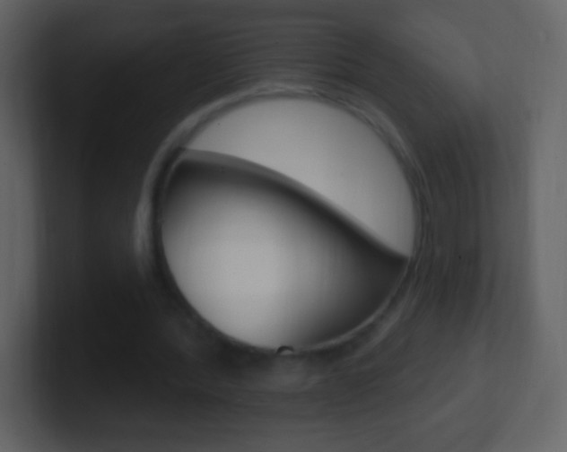 X0000101450388200807071115