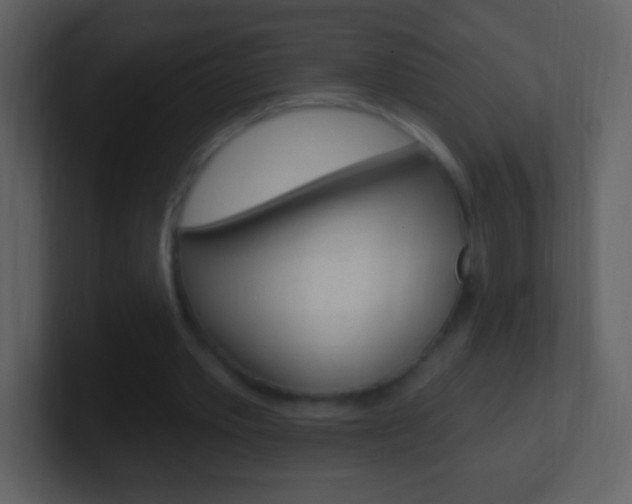 X0000101450389200807071115