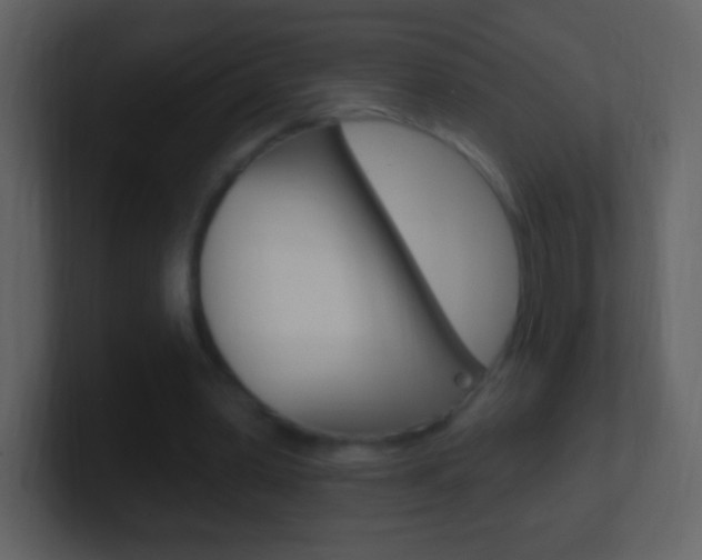 X0000101450390200807071115