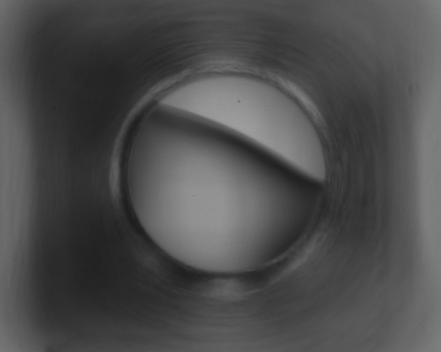 X0000101450391200807071115