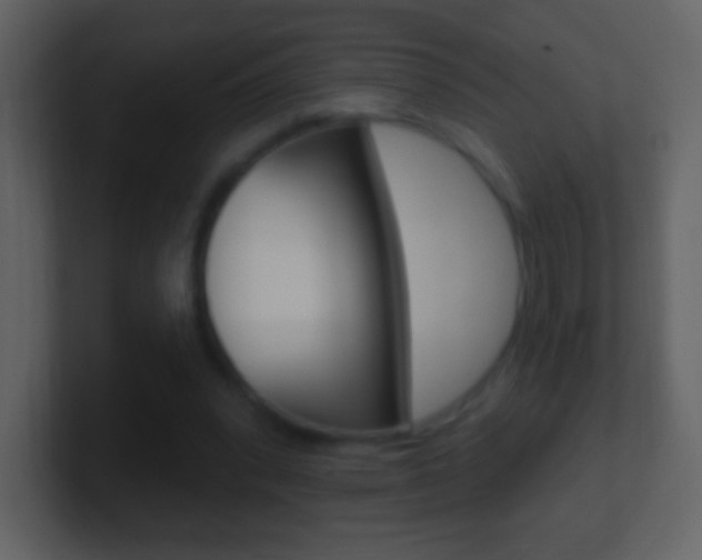 X0000101450392200807071115