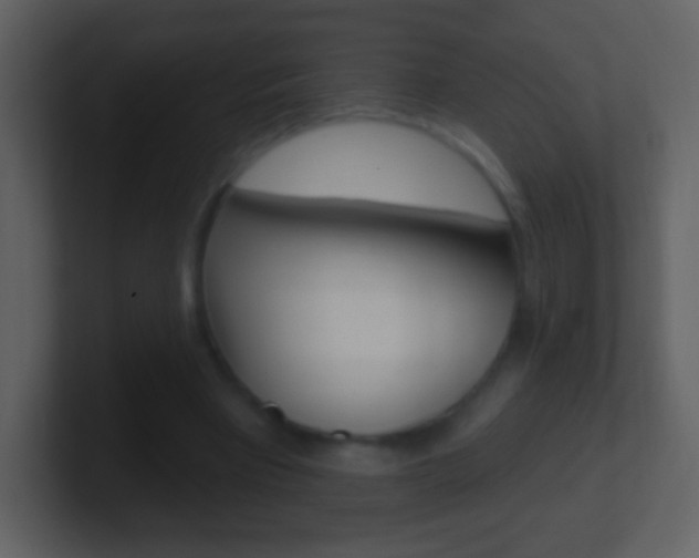 X0000101450393200807071115
