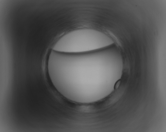 X0000101450394200807071115