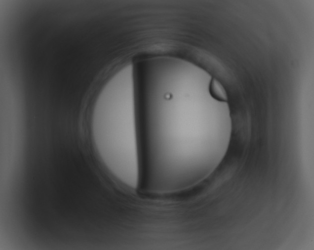 X0000101450400200807071115