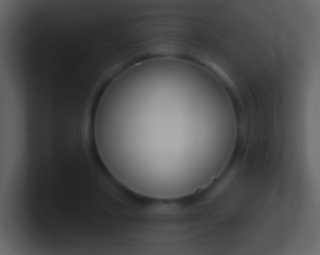 X0000101450403200807071115