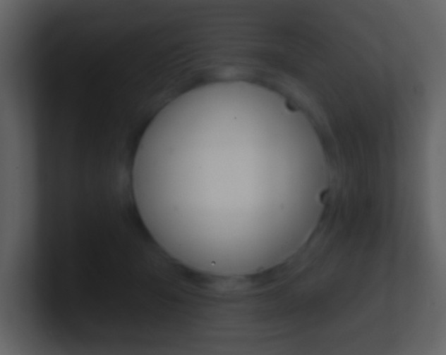 X0000101450415200807071115
