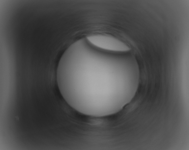 X0000101450417200807071115