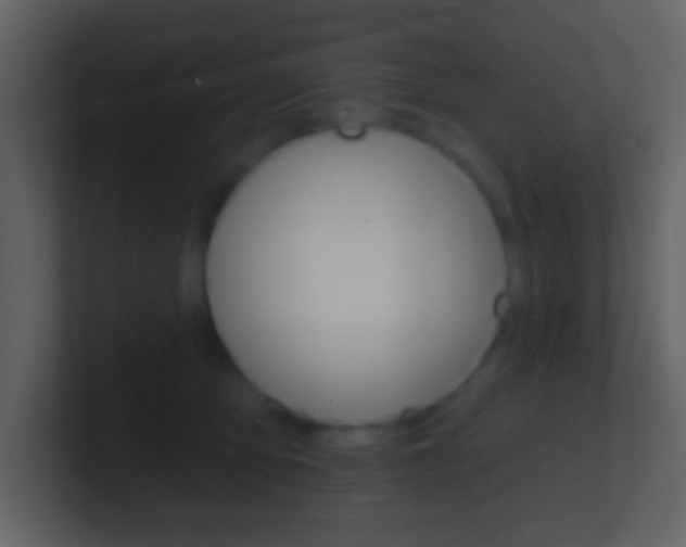 X0000101450419200807071115