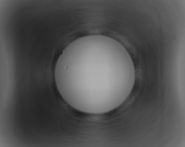 X0000101450422200807071115