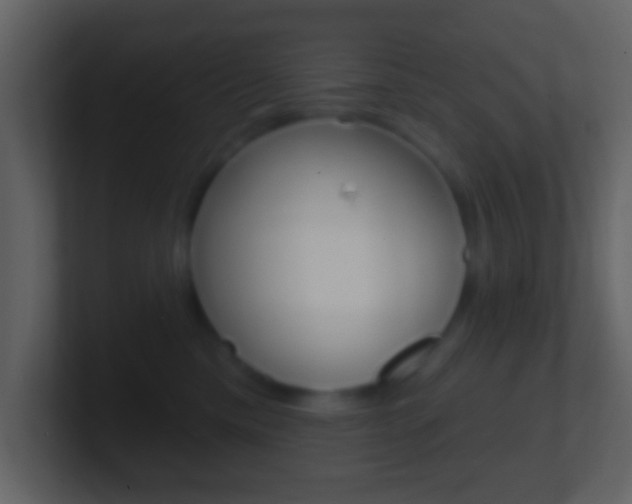 X0000101450425200807071115