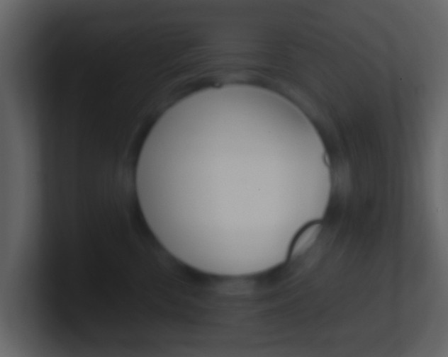 X0000101450426200807071115