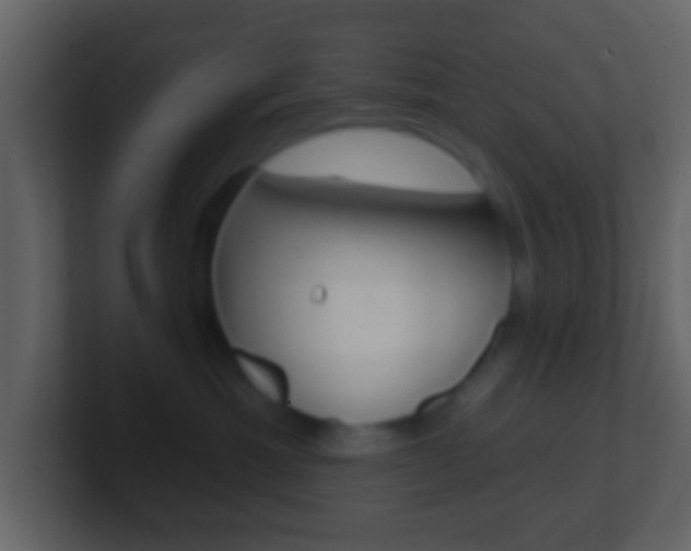 X0000101450429200807071115