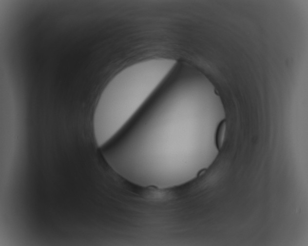 X0000101450432200807071115