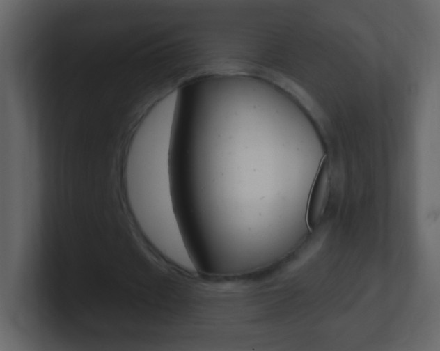 X0000101450433200807071114