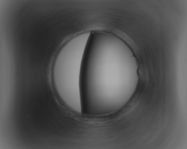 X0000101450434200807071114