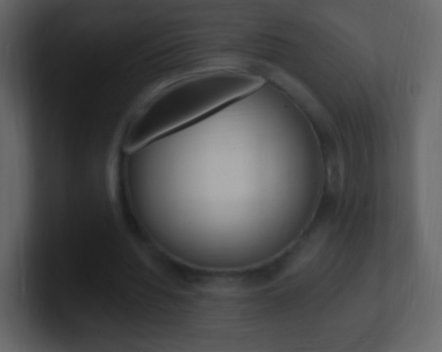 X0000101450436200807071114