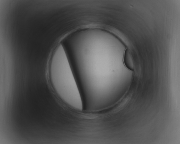 X0000101450437200807071114