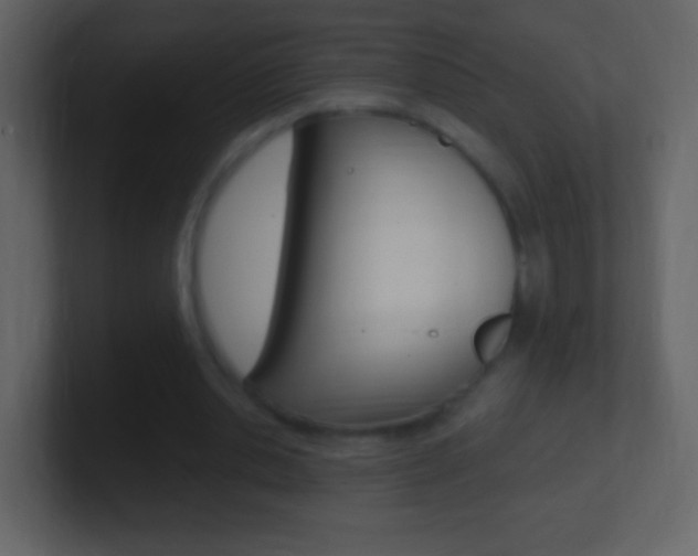 X0000101450438200807071114