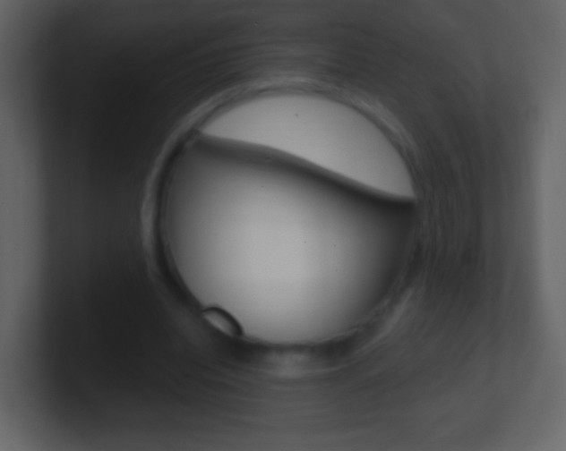 X0000101450440200807071114