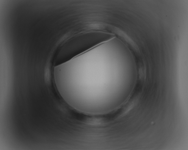 X0000101450444200807071114
