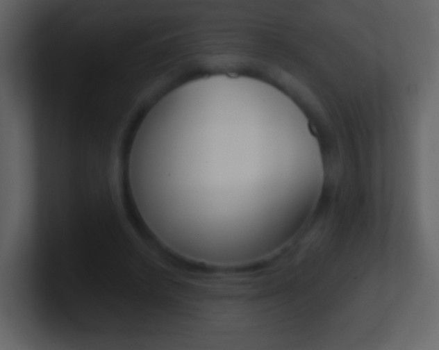 X0000101450448200807071114