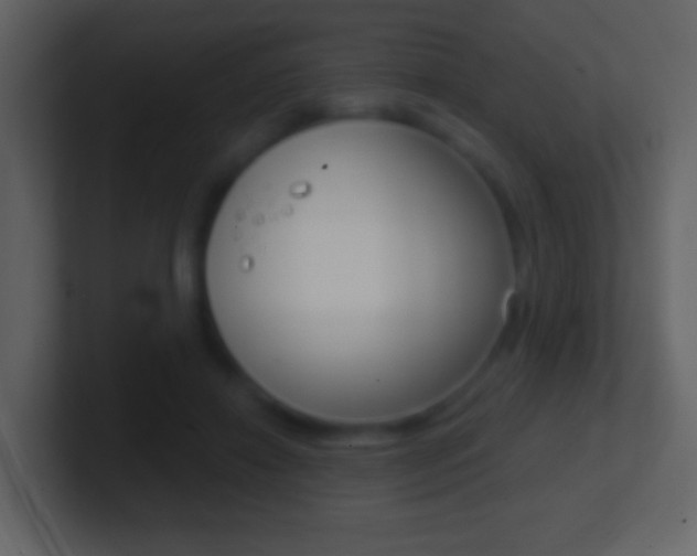 X0000101450452200807071114