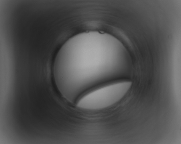 X0000101450455200807071114