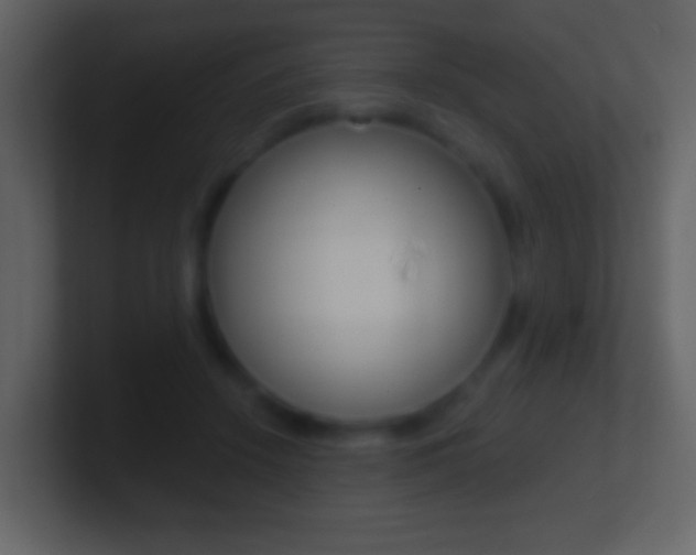 X0000101450456200807071114
