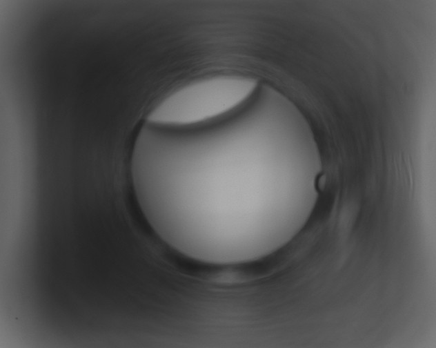 X0000101450460200807071114