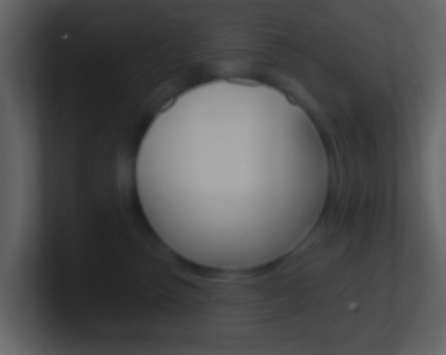 X0000101450475200807071114
