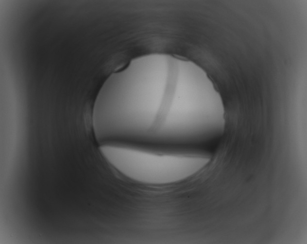 X0000101450479200807071115