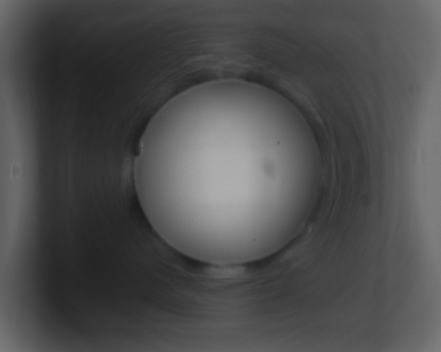 X0000101450480200807071115