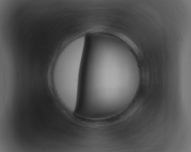 X0000101450485200807071114